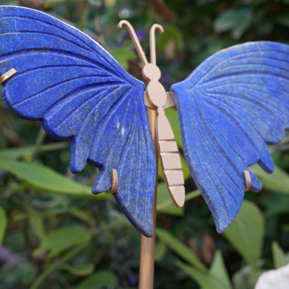 
                  
                    Lapis Lazuli Butterfly on Stand | High Grade|  Reiki Infused
                  
                
