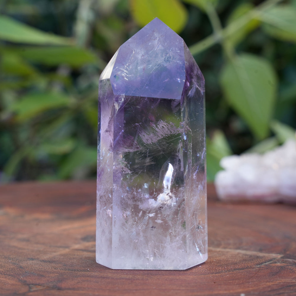 
                  
                    High Grade Phantom Amethyst Towers | Reiki Infused
                  
                
