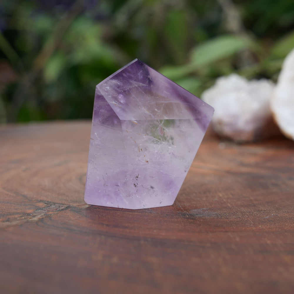 
                  
                    Phantom Amethyst Freeform | Reiki Infused
                  
                
