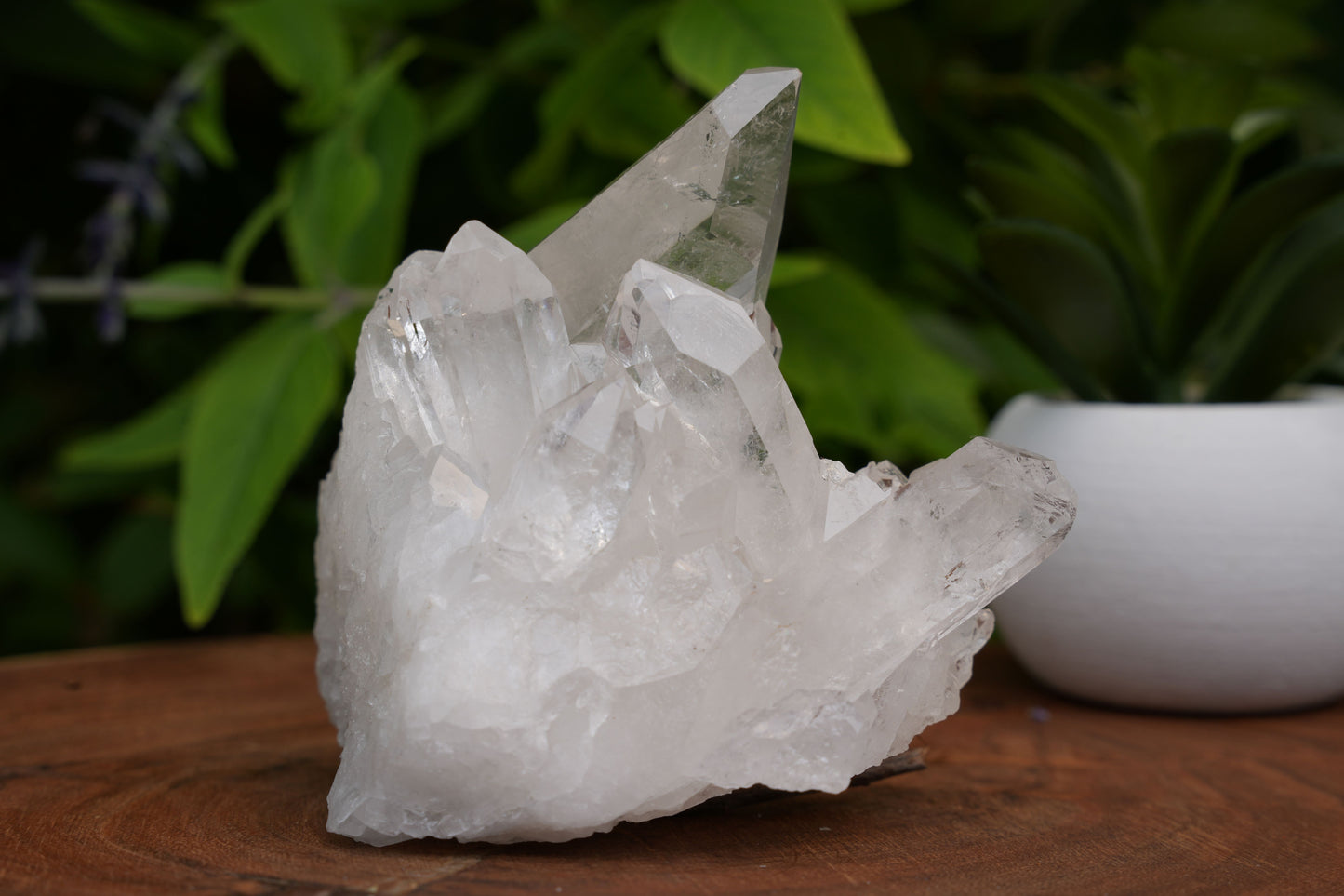 High Grade | Clear Quartz Clusters | Reiki Infused