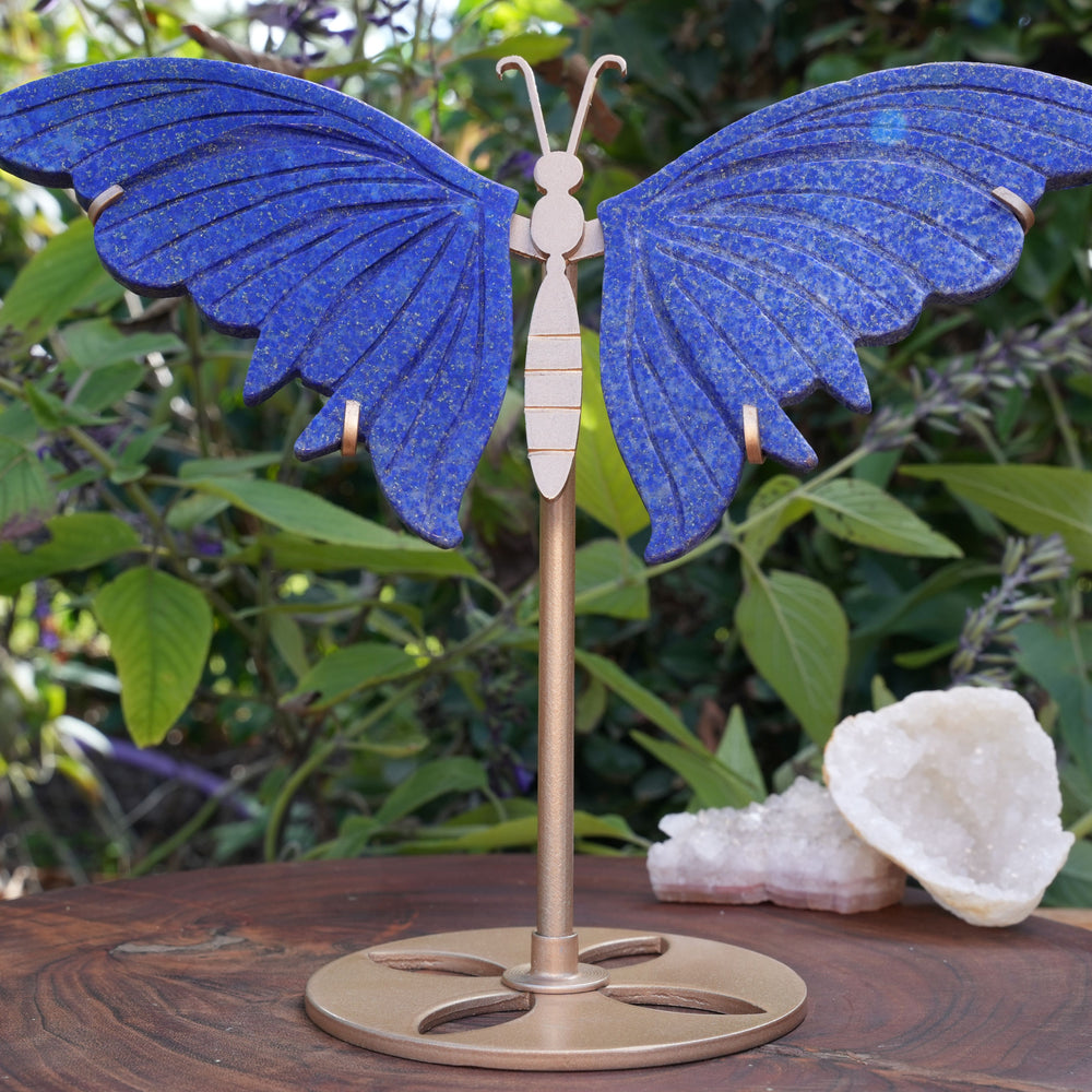 Lapis Lazuli Butterfly on Stand | High Grade|  Reiki Infused