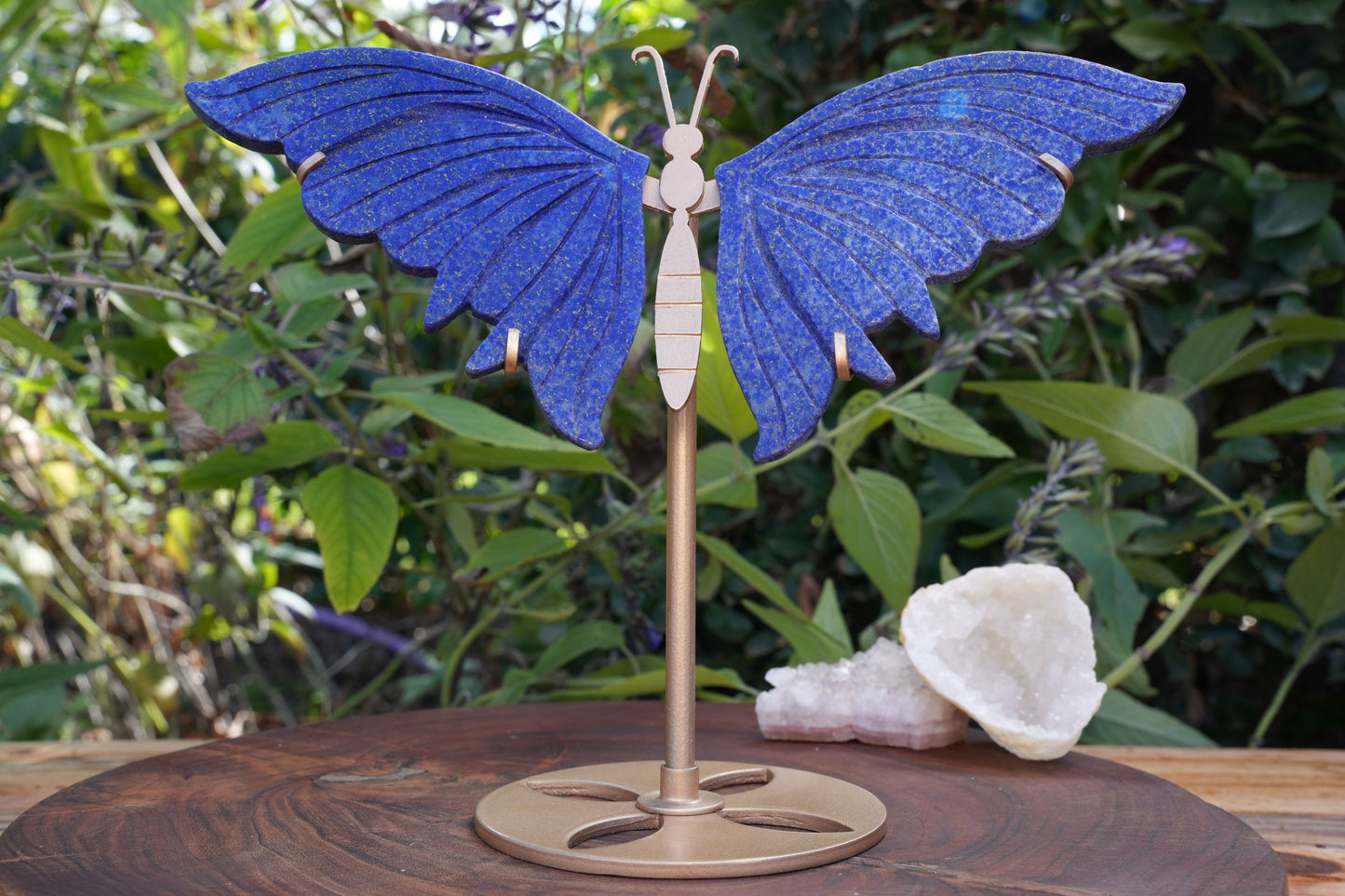 Lapis Lazuli Butterfly on Stand | High Grade|  Reiki Infused