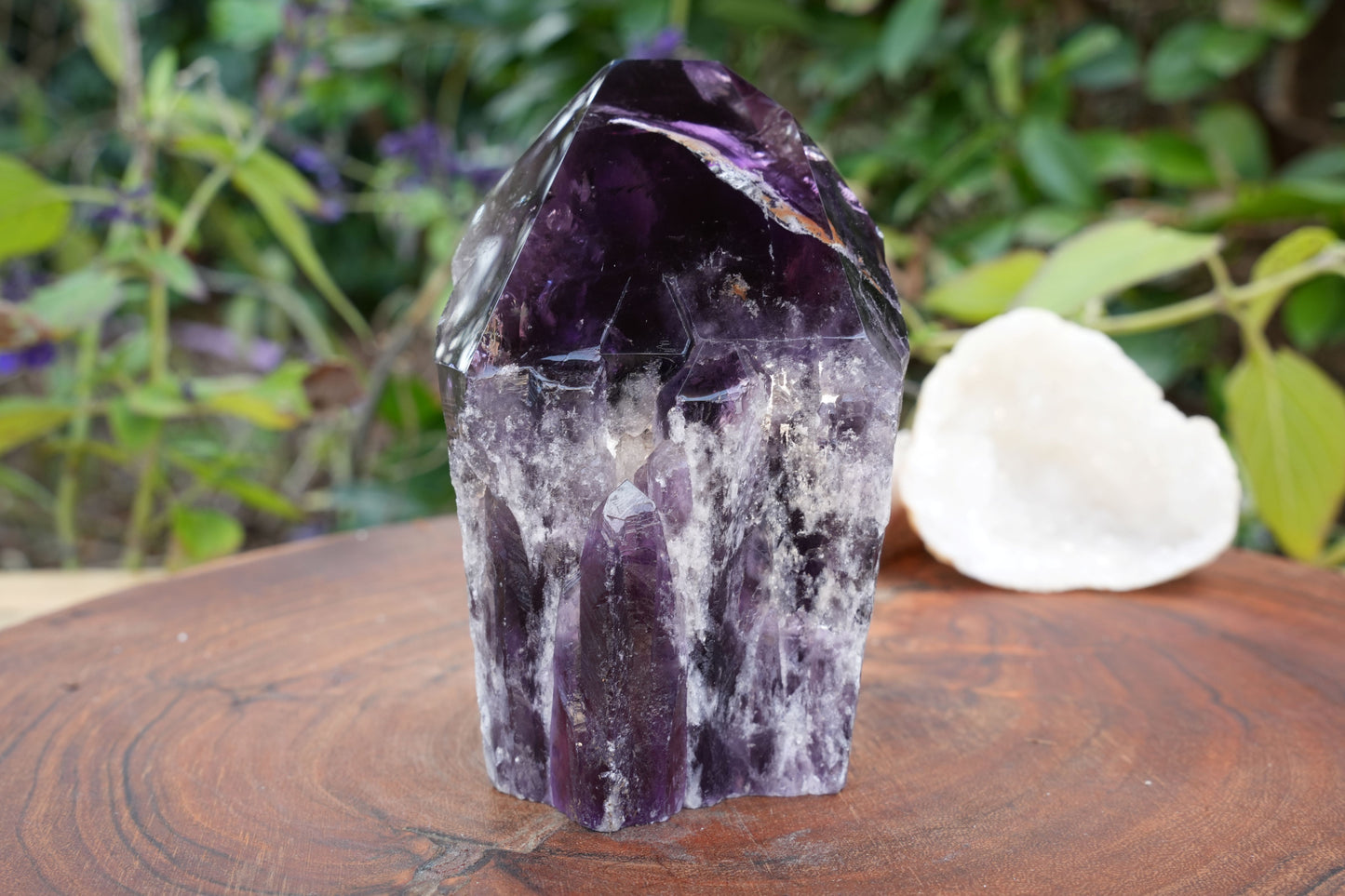 Large High Quality Amethyst Cut Base | Reiki Infused