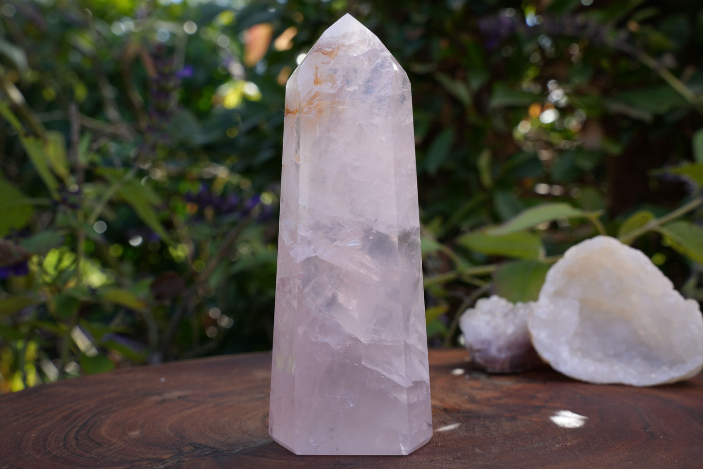 High Grade Rose Quartz Girasol Towers | Reiki Infused