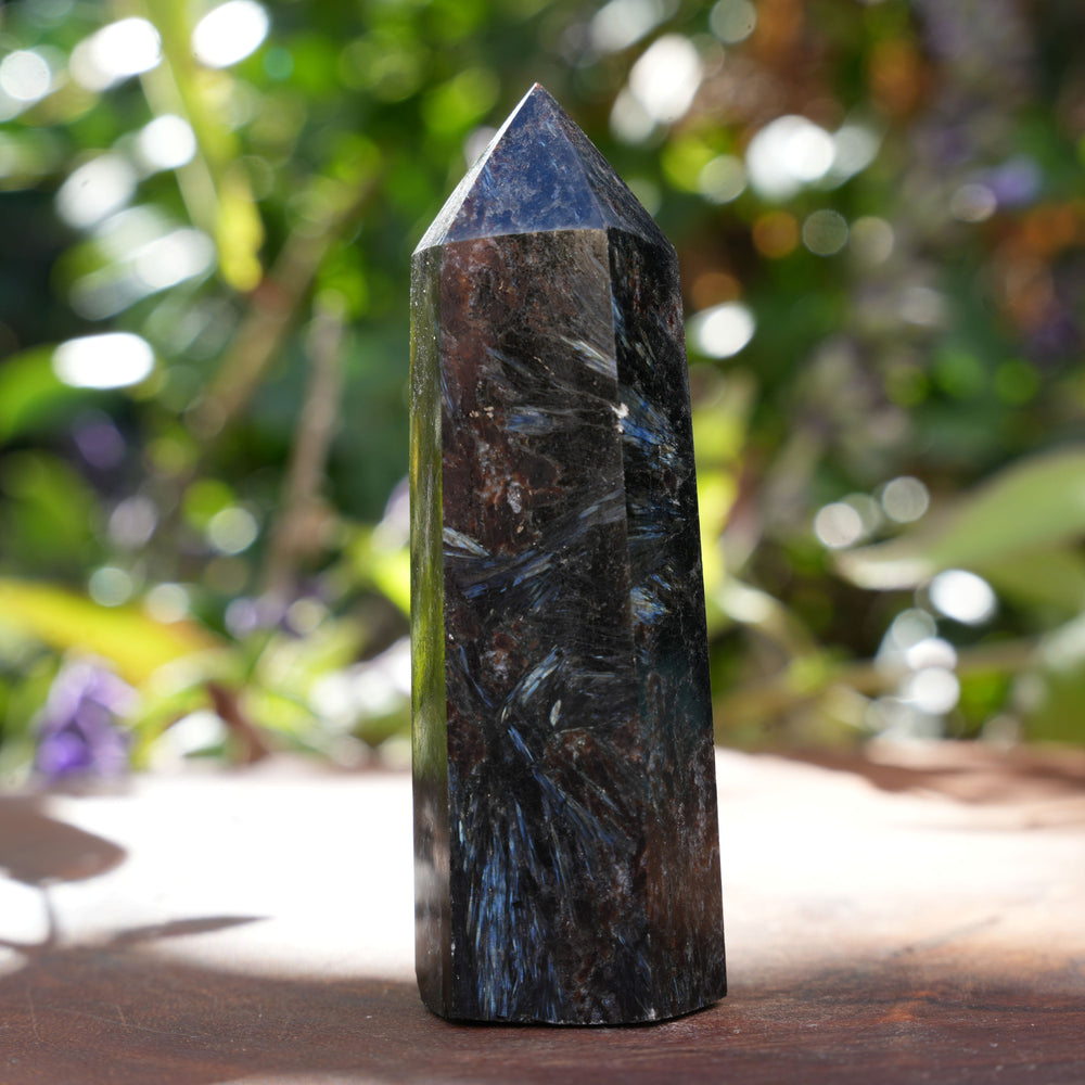 Arfvedsonite Points | Reiki Infused