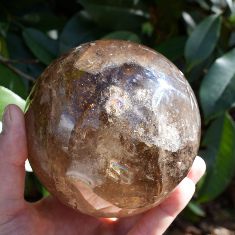 
                  
                    Large Smoky Quartz Sphere on Wooden Holder | Reiki Infused
                  
                
