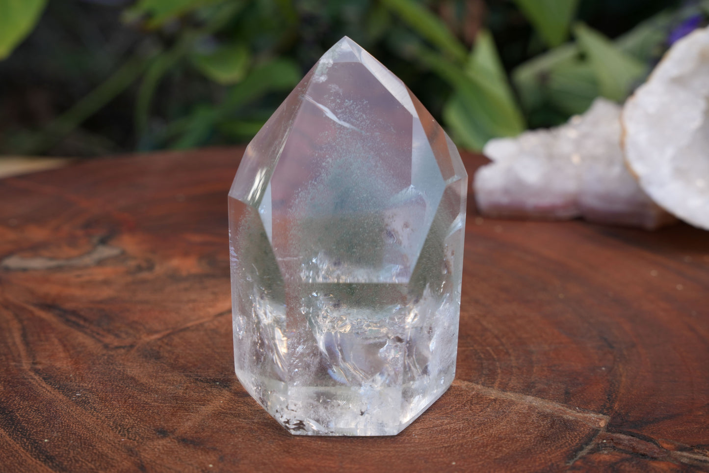 Medium Green Garden Quartz Points | High Grade | Reiki Infused