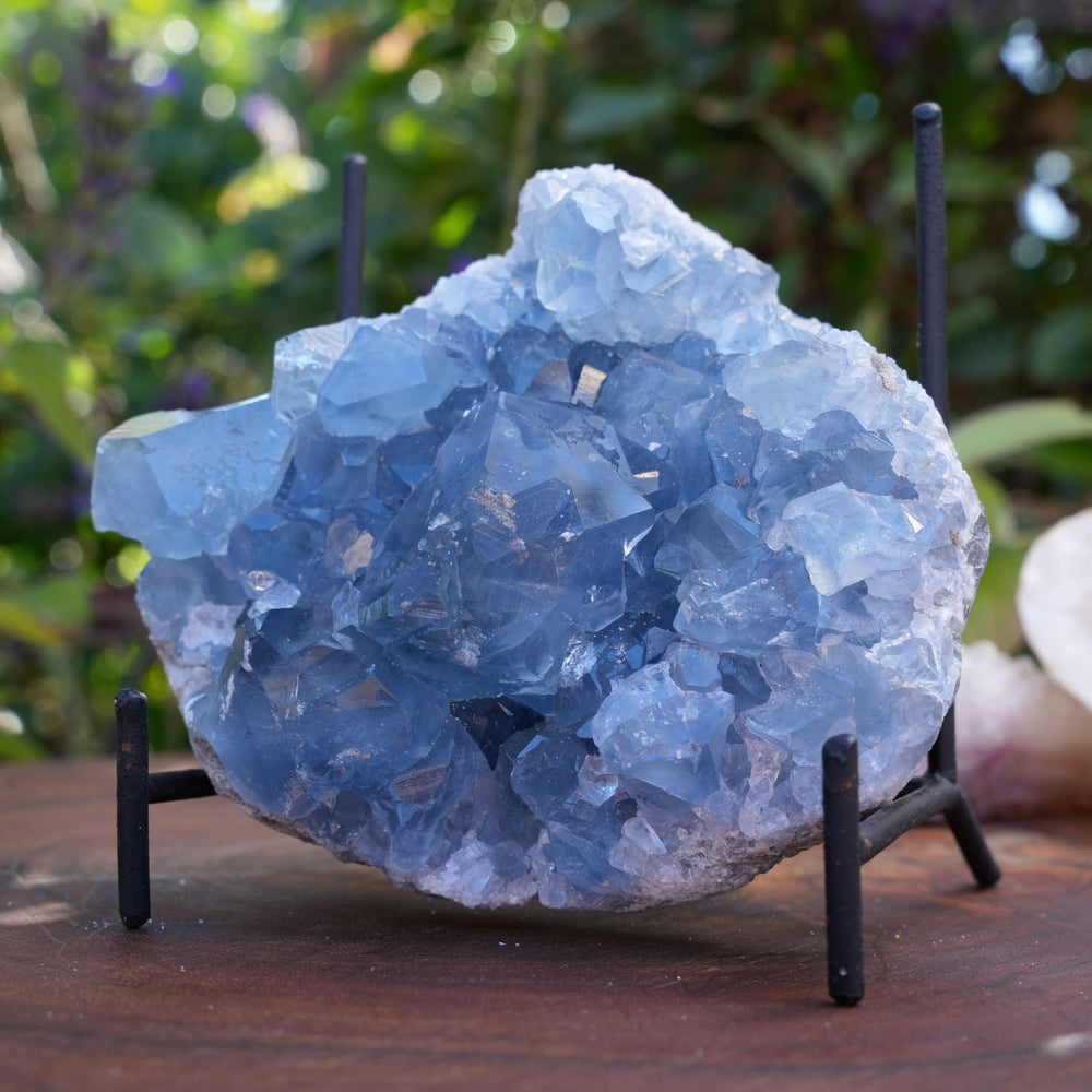 
                  
                    High Quality Celestite Clusters | Reiki Infused
                  
                