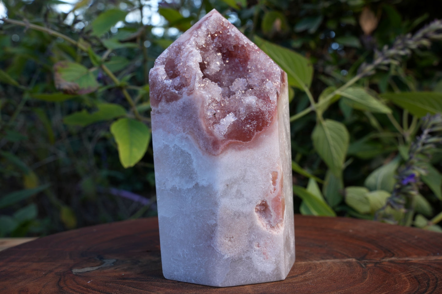 AA Grade Druzy Pink Amethyst Tower | Reiki Infused