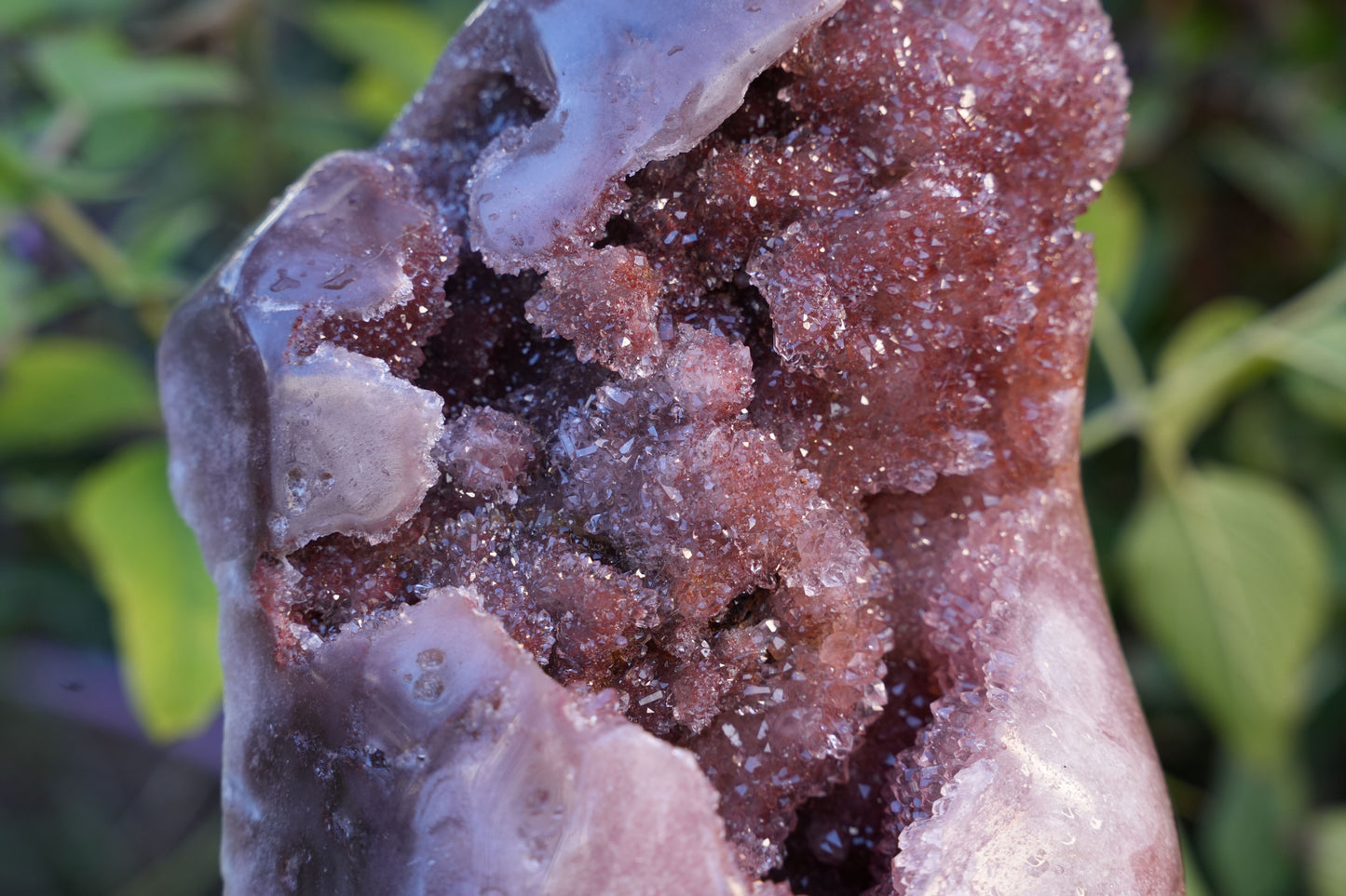 AAA Large Grade Druzy Pink Amethyst Freeform | Reiki Infused