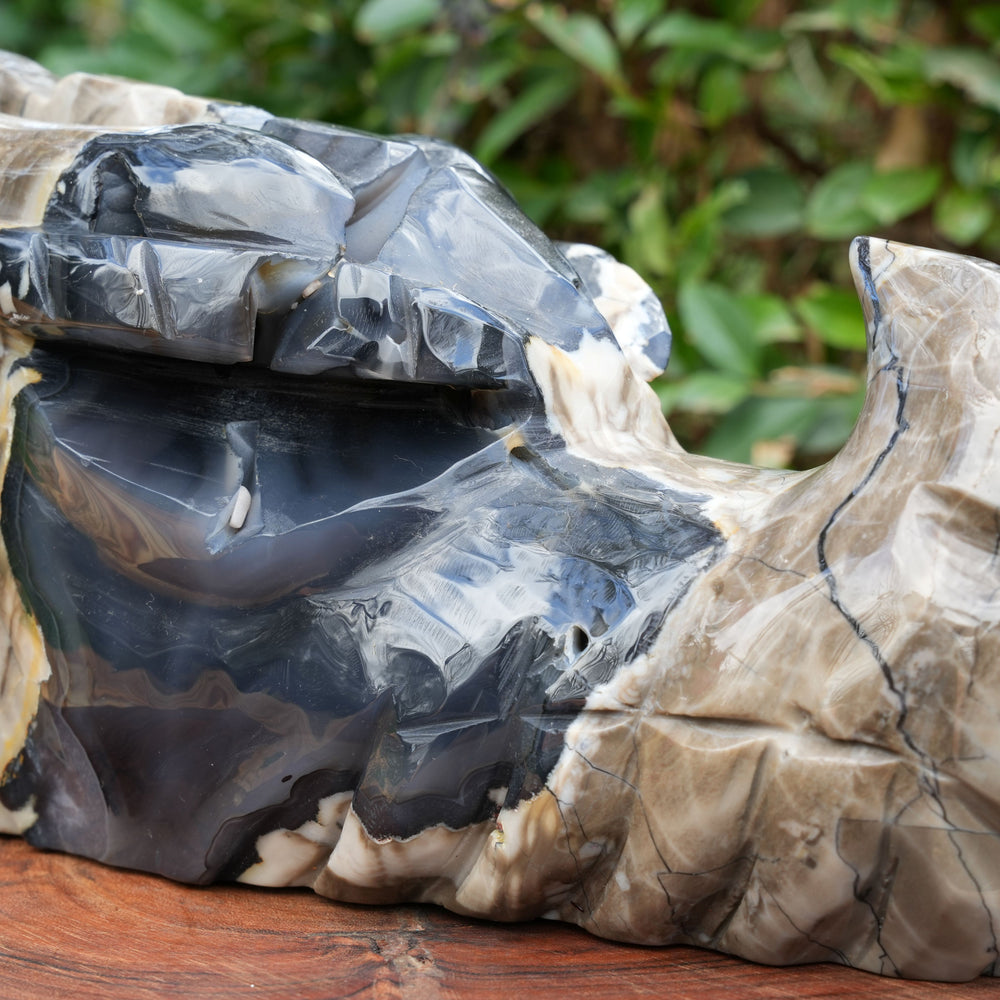 Large UV Reactive Volcanic Agate Dragon Head | Reiki Infused