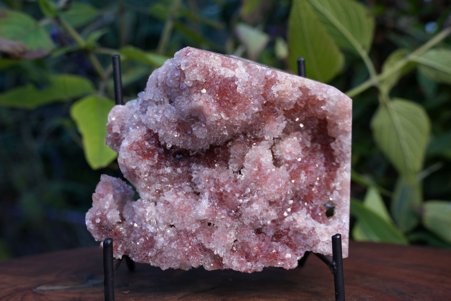 AA Grade Druzy Pink Amethyst Cluster | Reiki Infused