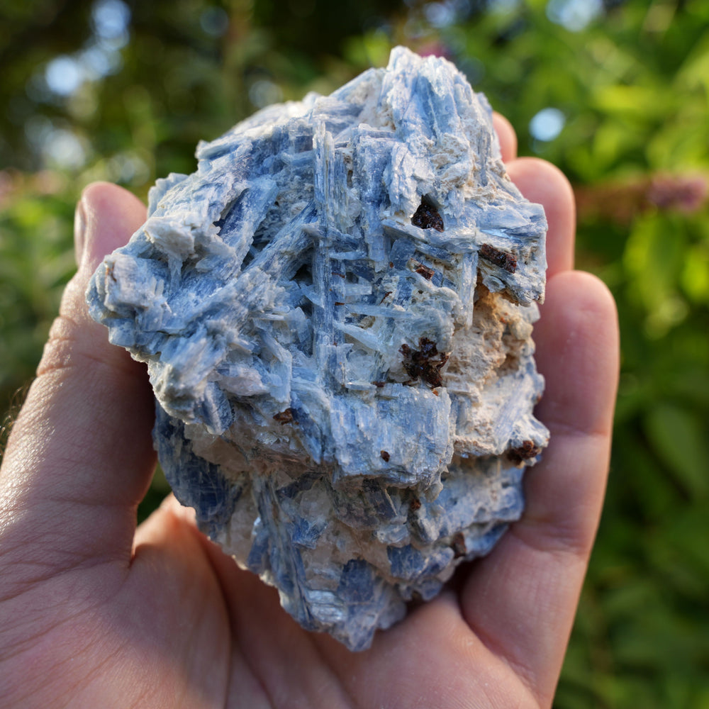 Raw Kyanite in Quartz | High Grade | Reiki Infused