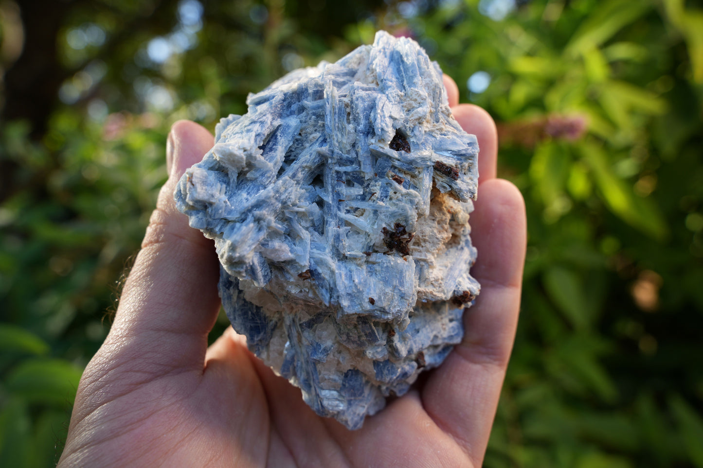 Raw Kyanite in Quartz | High Grade | Reiki Infused