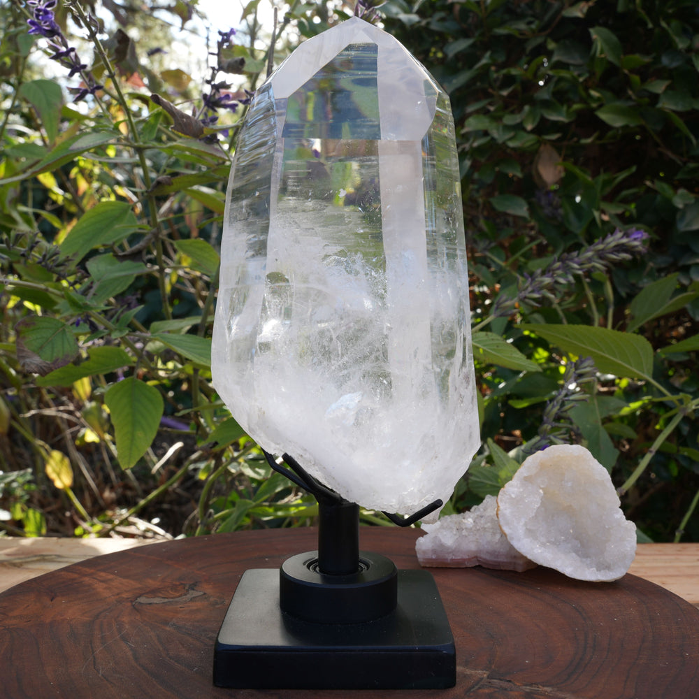 AAA Grade Large Lemurian Star Seed Quartz on Rotating Stand | Reiki Infused