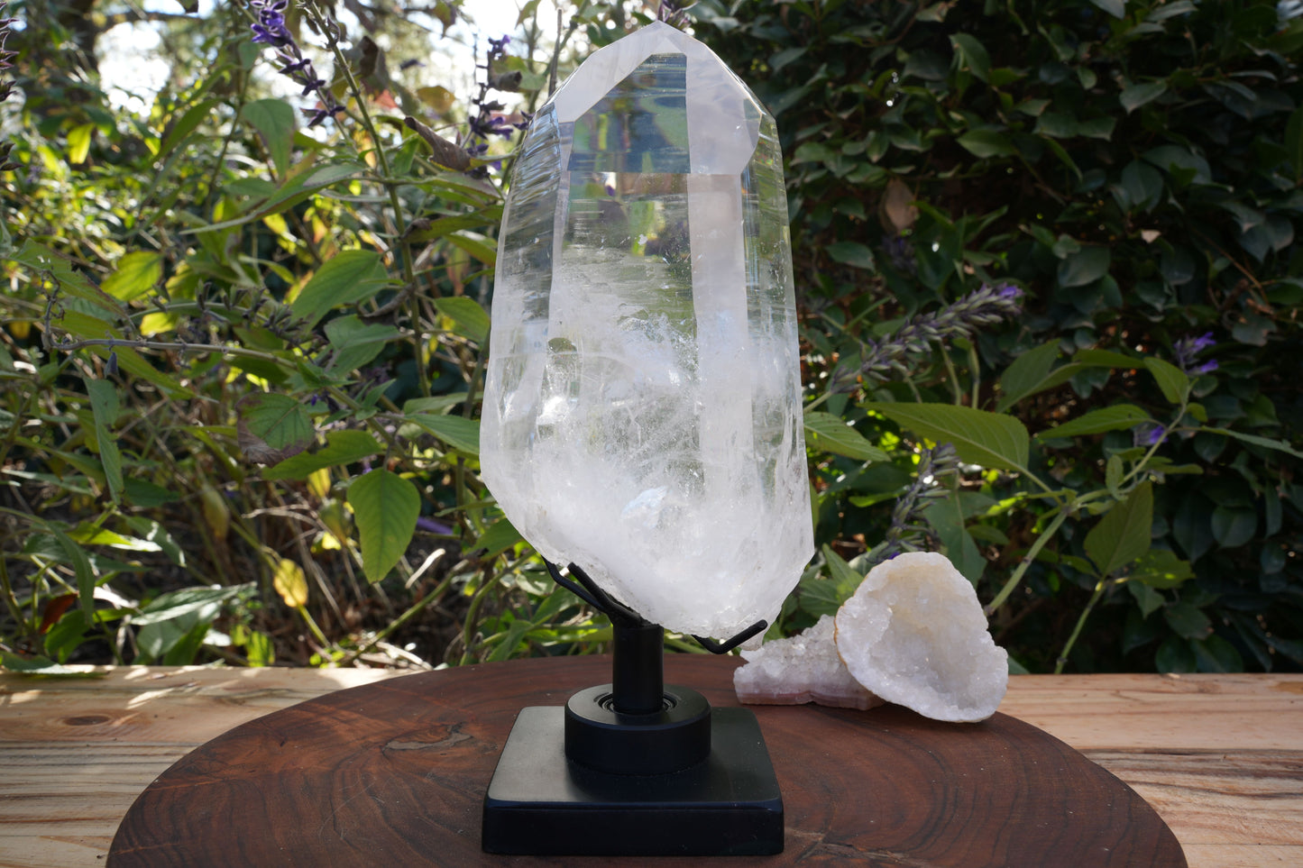 AAA Grade Large Lemurian Star Seed Quartz on Rotating Stand | Reiki Infused