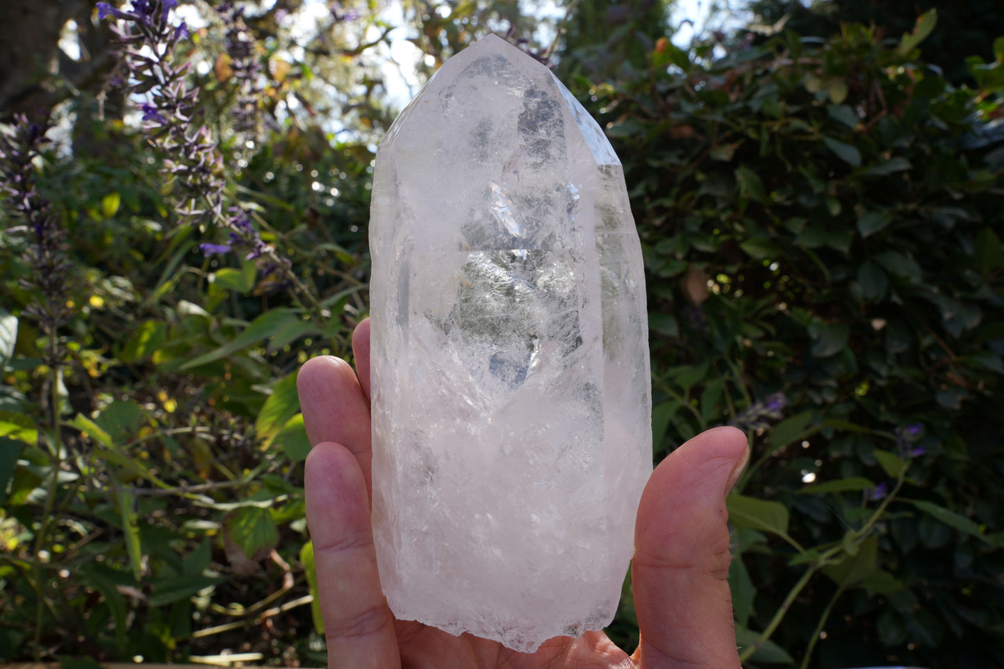 High Grade Star Seed Lemurian Wands | Reiki Infused