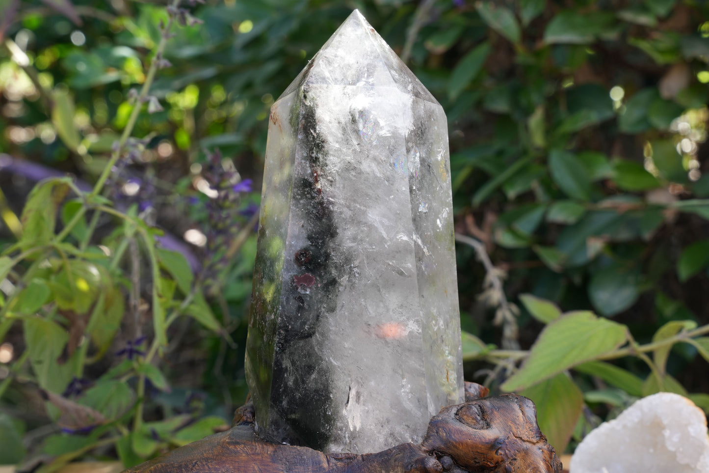 Garden Quartz on Wooden Stand | Reiki Infused
