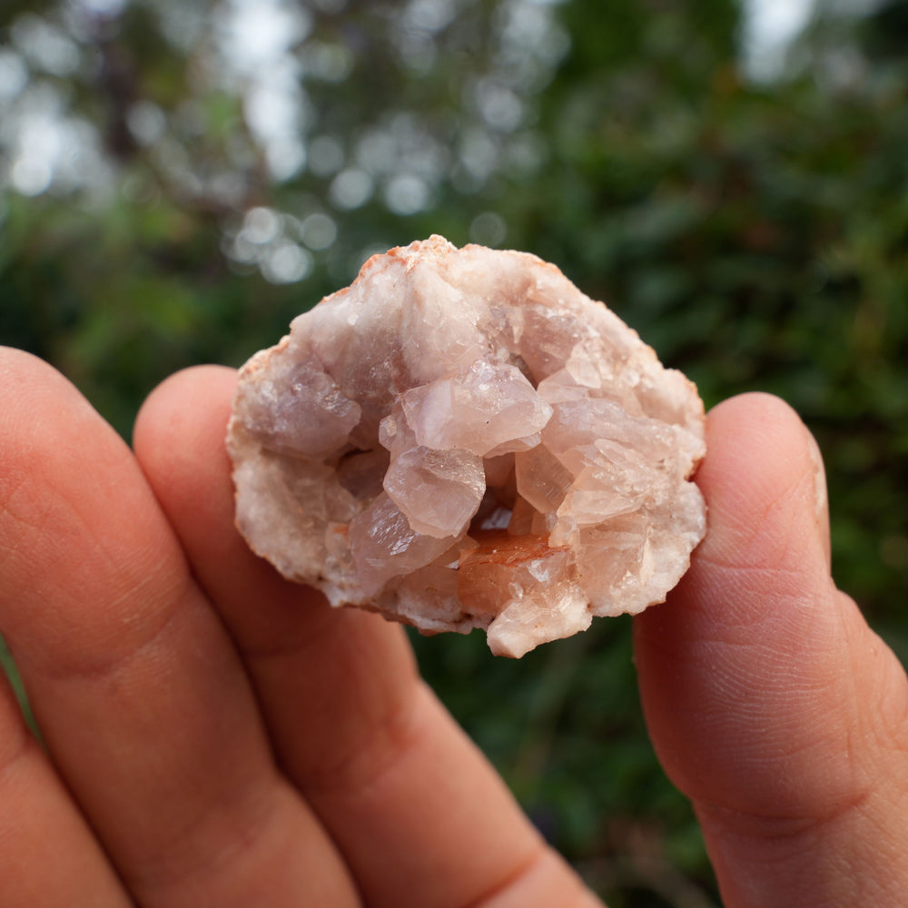 Small Pink Amethyst Clusters | Reiki Infused