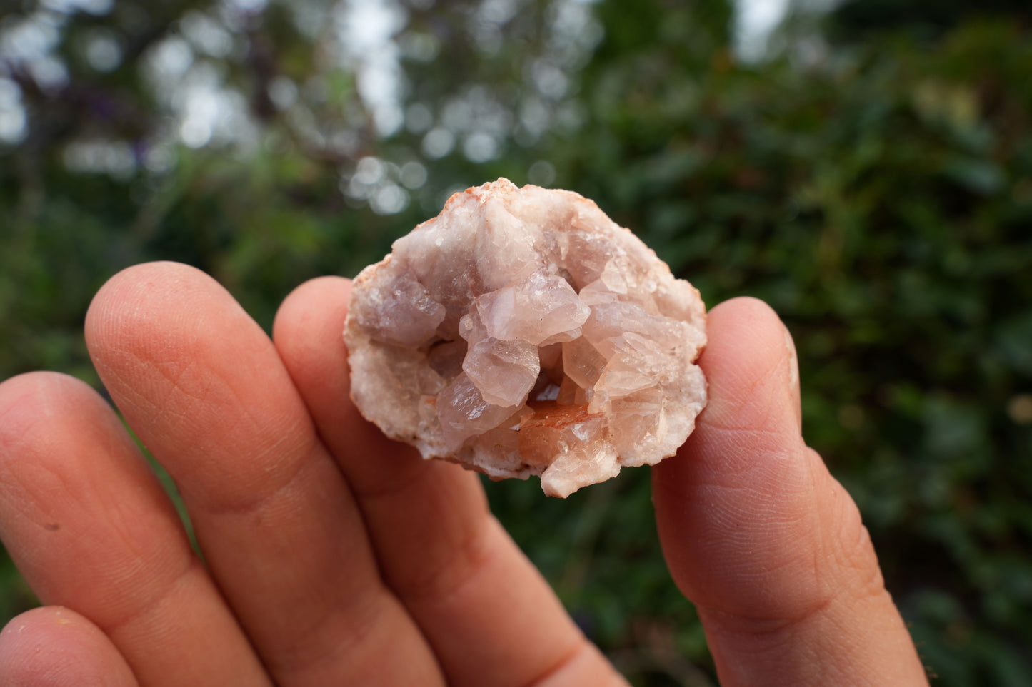 Small Pink Amethyst Clusters | Reiki Infused
