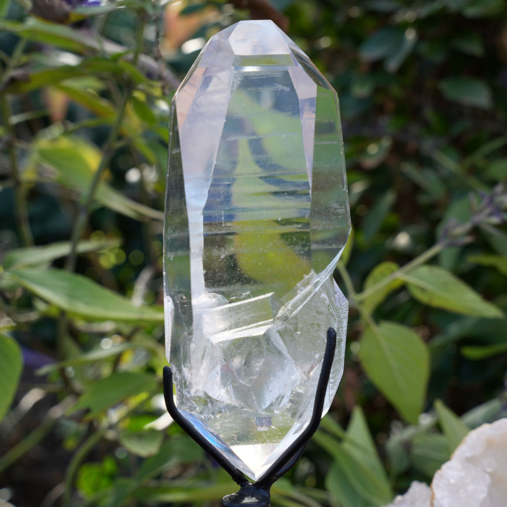 AAA Grade Lemurian Star Seed Quartz on Rotating Stand | Reiki Infused