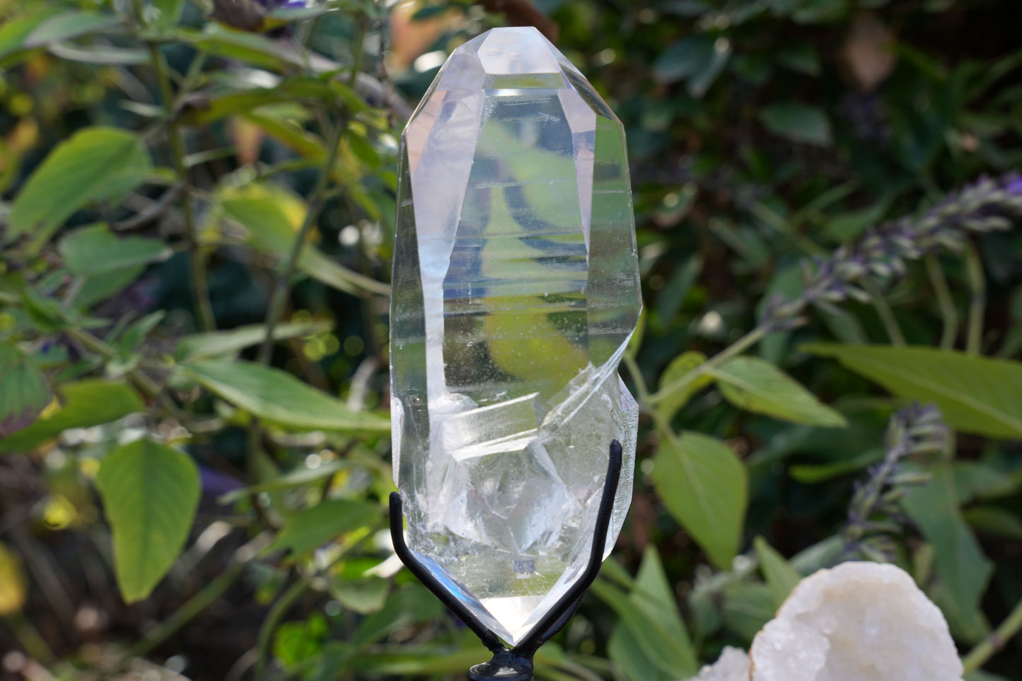 AAA Grade Lemurian Star Seed Quartz on Rotating Stand | Reiki Infused