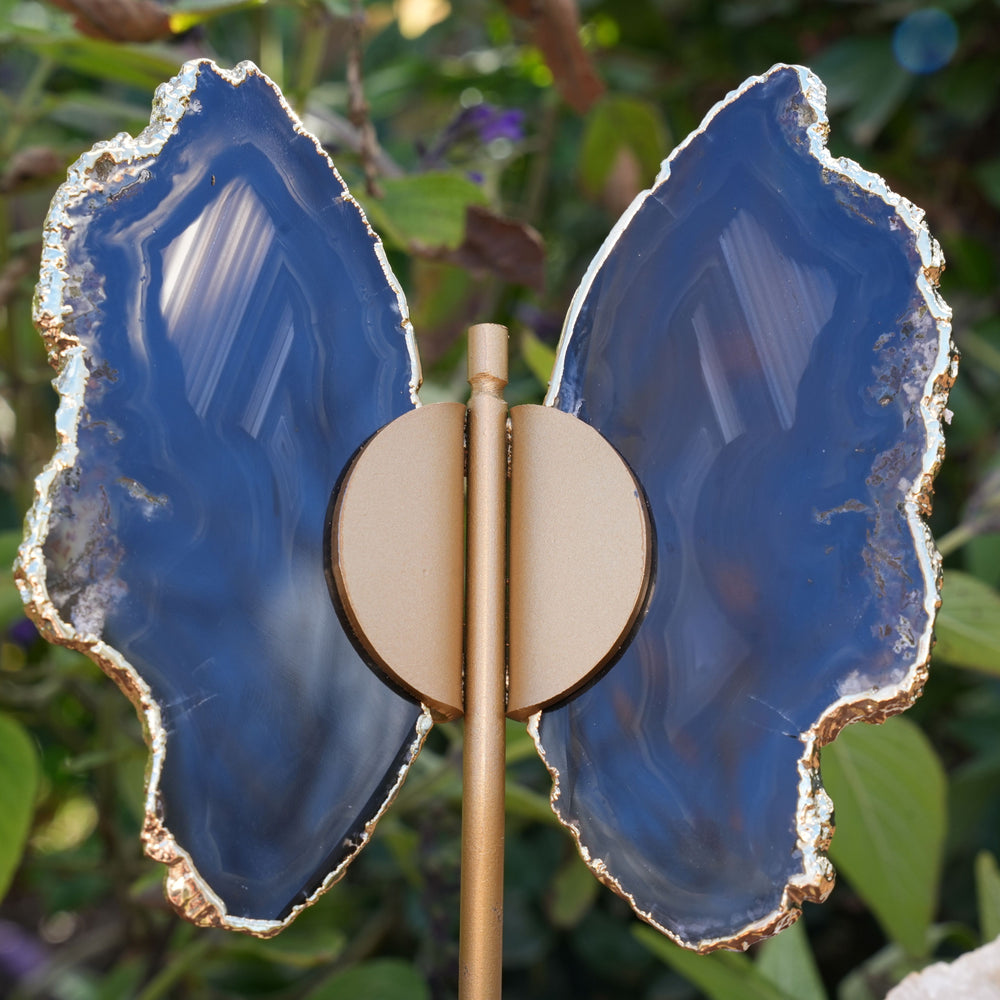 Black Agate Butterfly on Stand | Reiki Infused