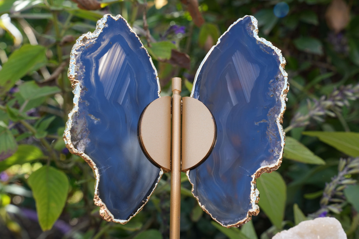 Black Agate Butterfly on Stand | Reiki Infused