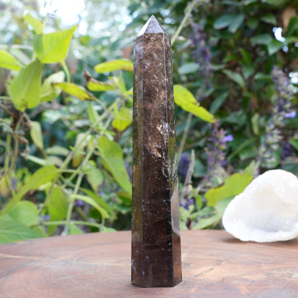 Smoky Quartz Points | Reiki Infused
