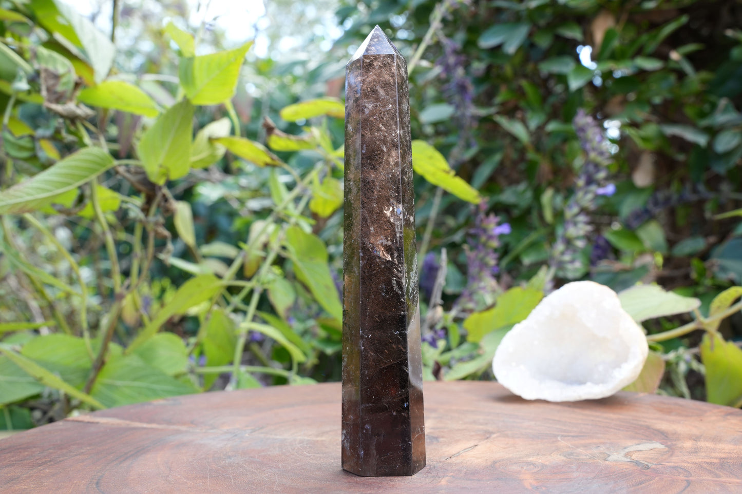 Smoky Quartz Points | Reiki Infused