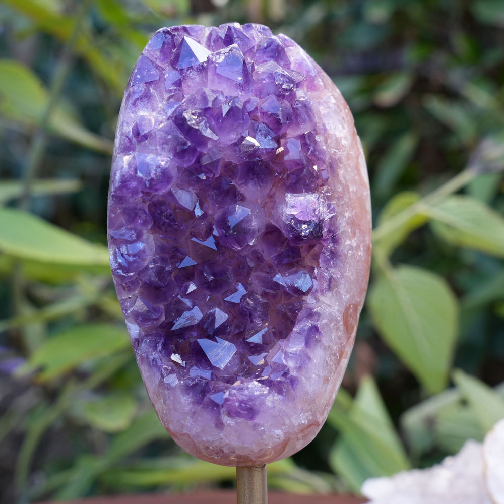 High Quality Amethyst Cluster on Stand | Reiki Infused
