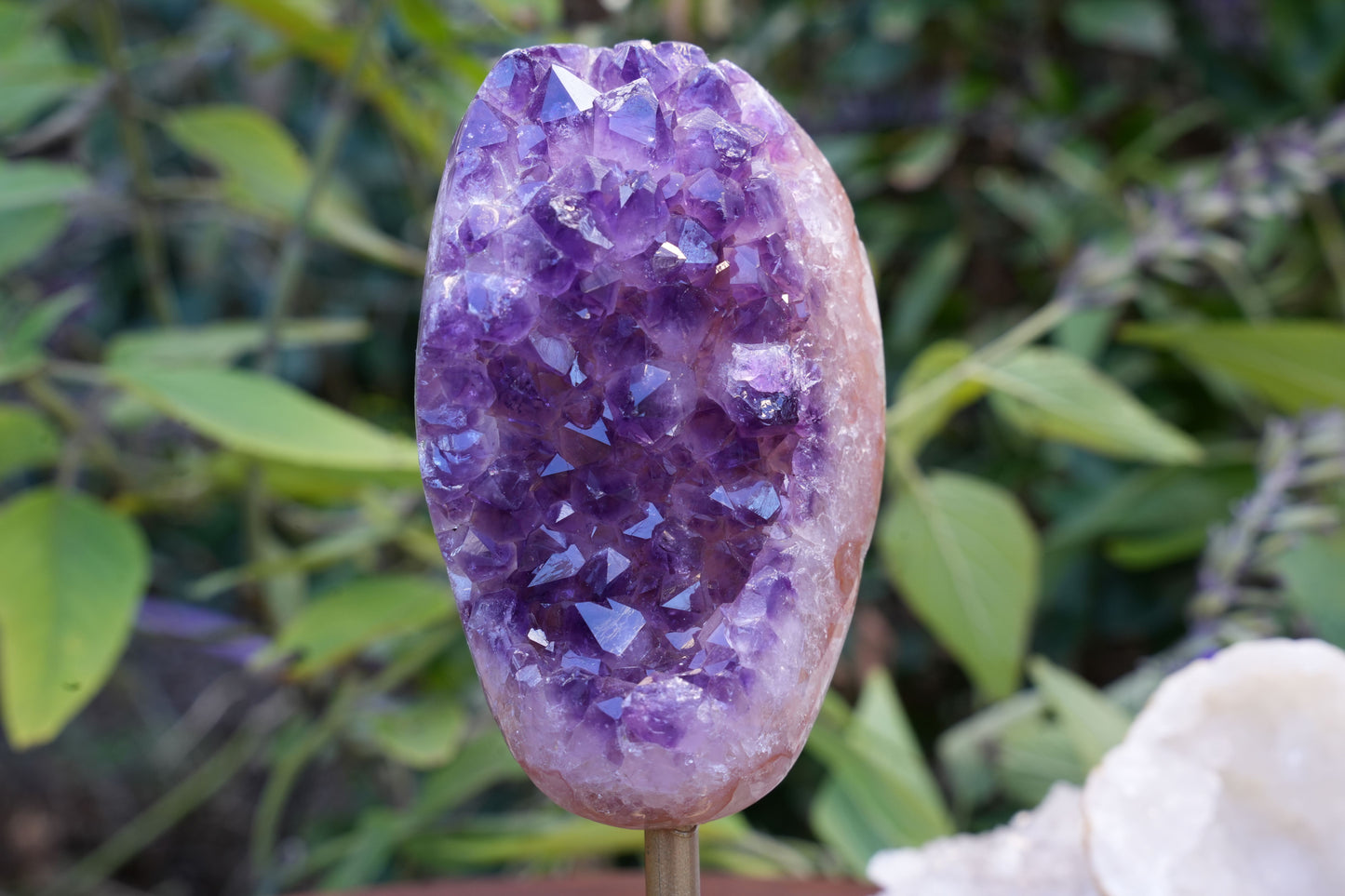 High Quality Amethyst Cluster on Stand | Reiki Infused