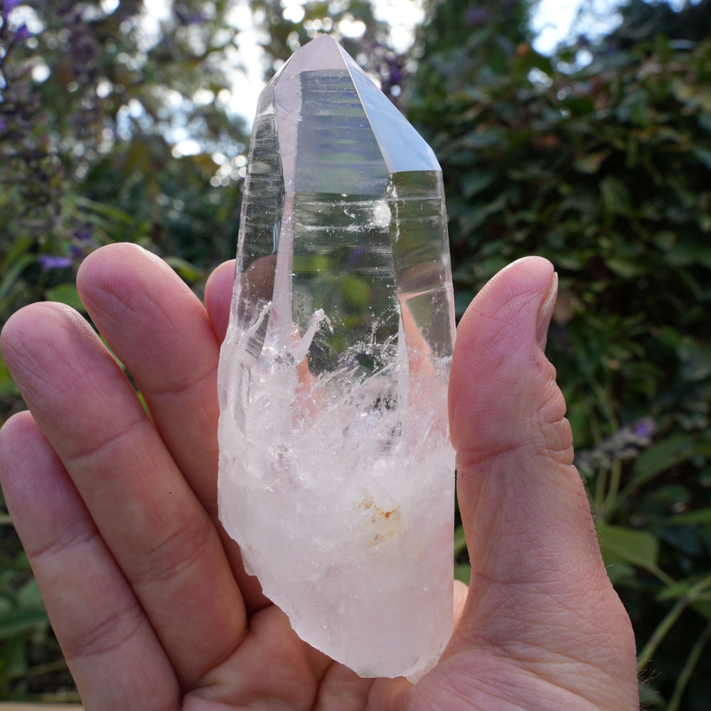 
                  
                    AA+ Grade Star Seed Lemurian Wands | Reiki Infused
                  
                