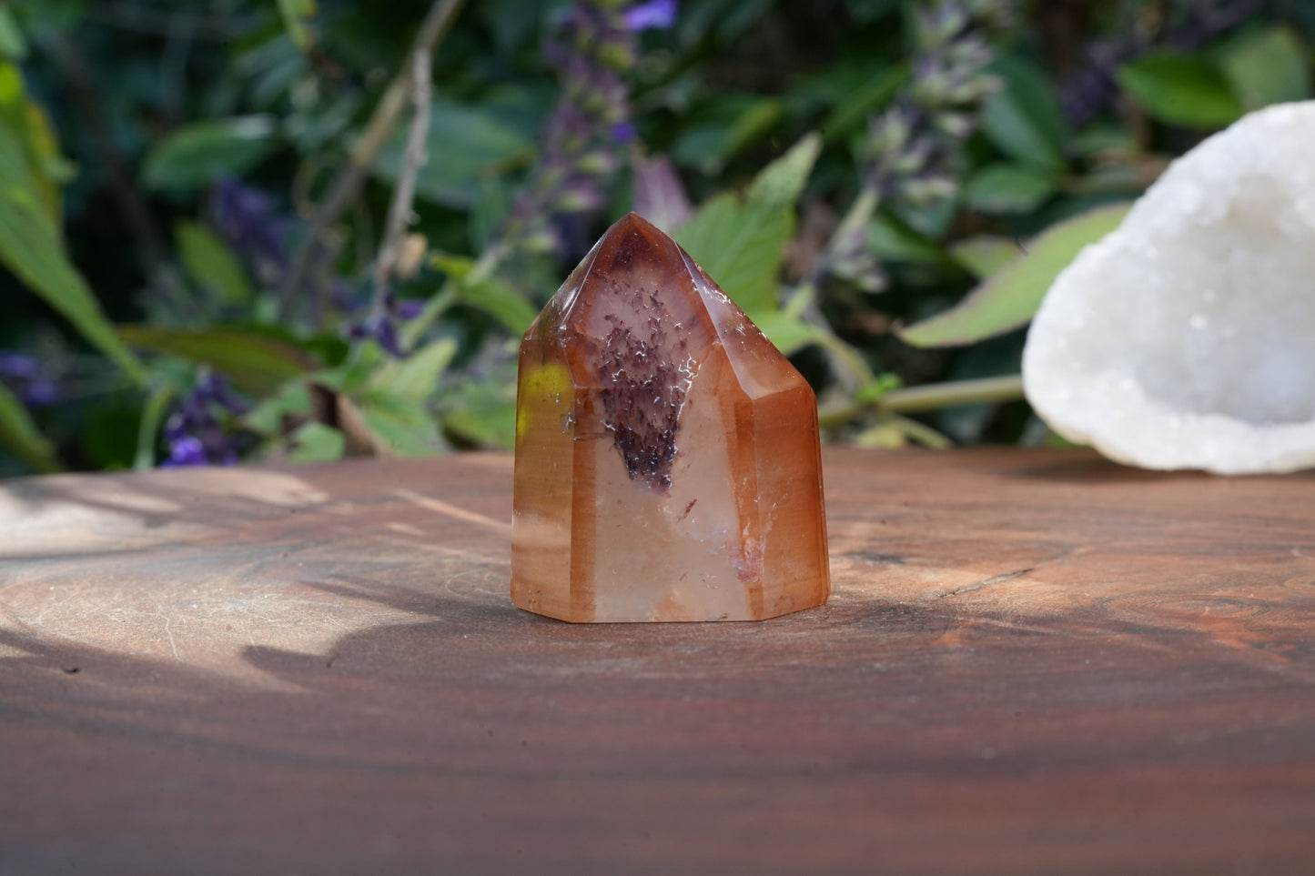 Small Dream Coat Lemurian Freeforms | Reiki Infused