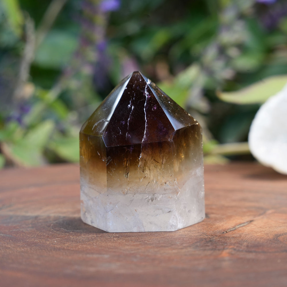 Small Deep Purple Amethyst Dream Coat Lemurian Freeforms | Reiki Infused