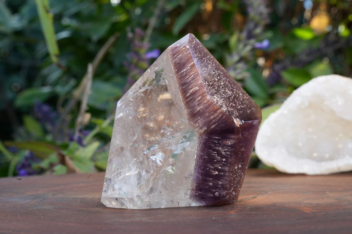 Medium Dream Coat Lemurian Freeforms | Reiki Infused