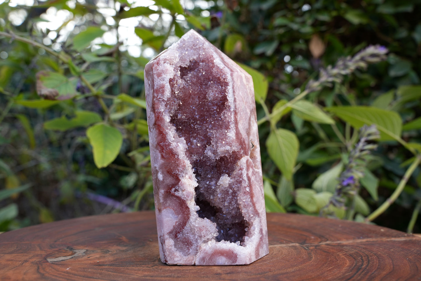 AA Grade Druzy Pink Amethyst Tower | Reiki Infused