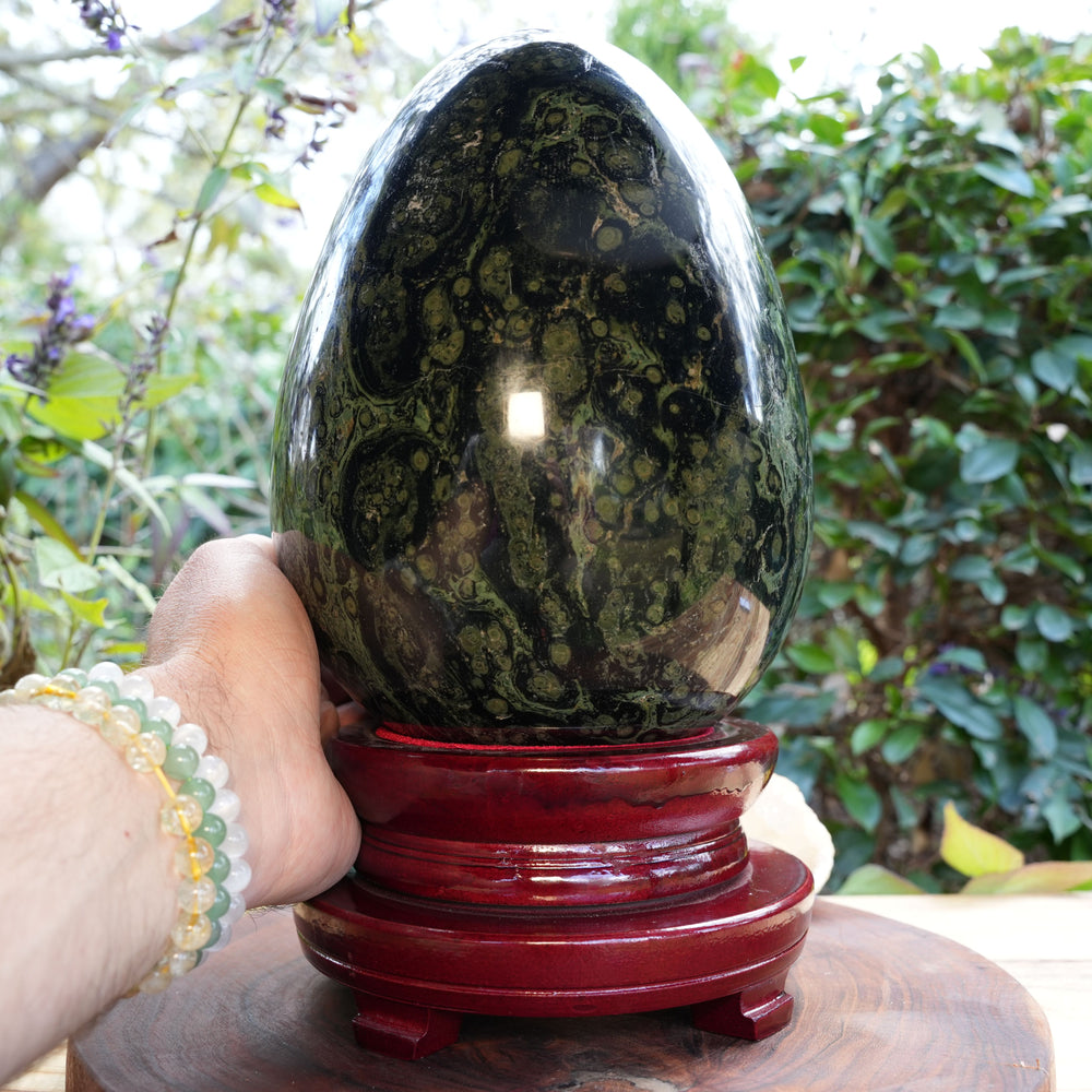 
                  
                    Giant Kambaba Jasper Egg | Reiki Infused
                  
                