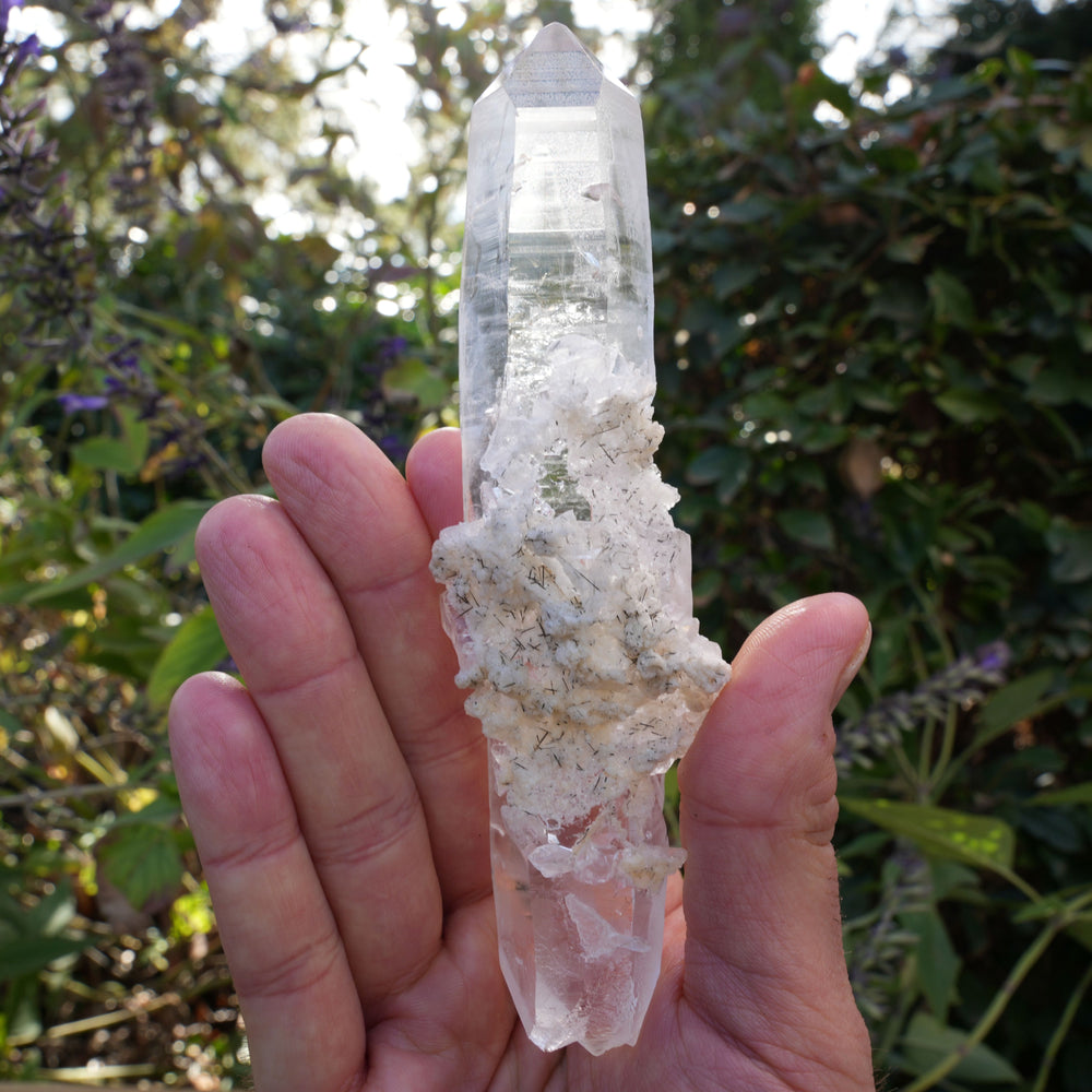 
                  
                    Rare Lemurian, Albite & Black Tourmaline Rutile Wand | Reiki Infused
                  
                