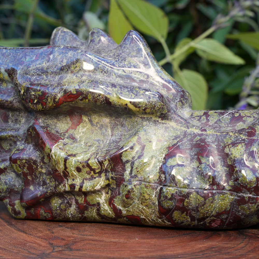 Dragons Blood Jasper Dragon Head | Reiki Infused