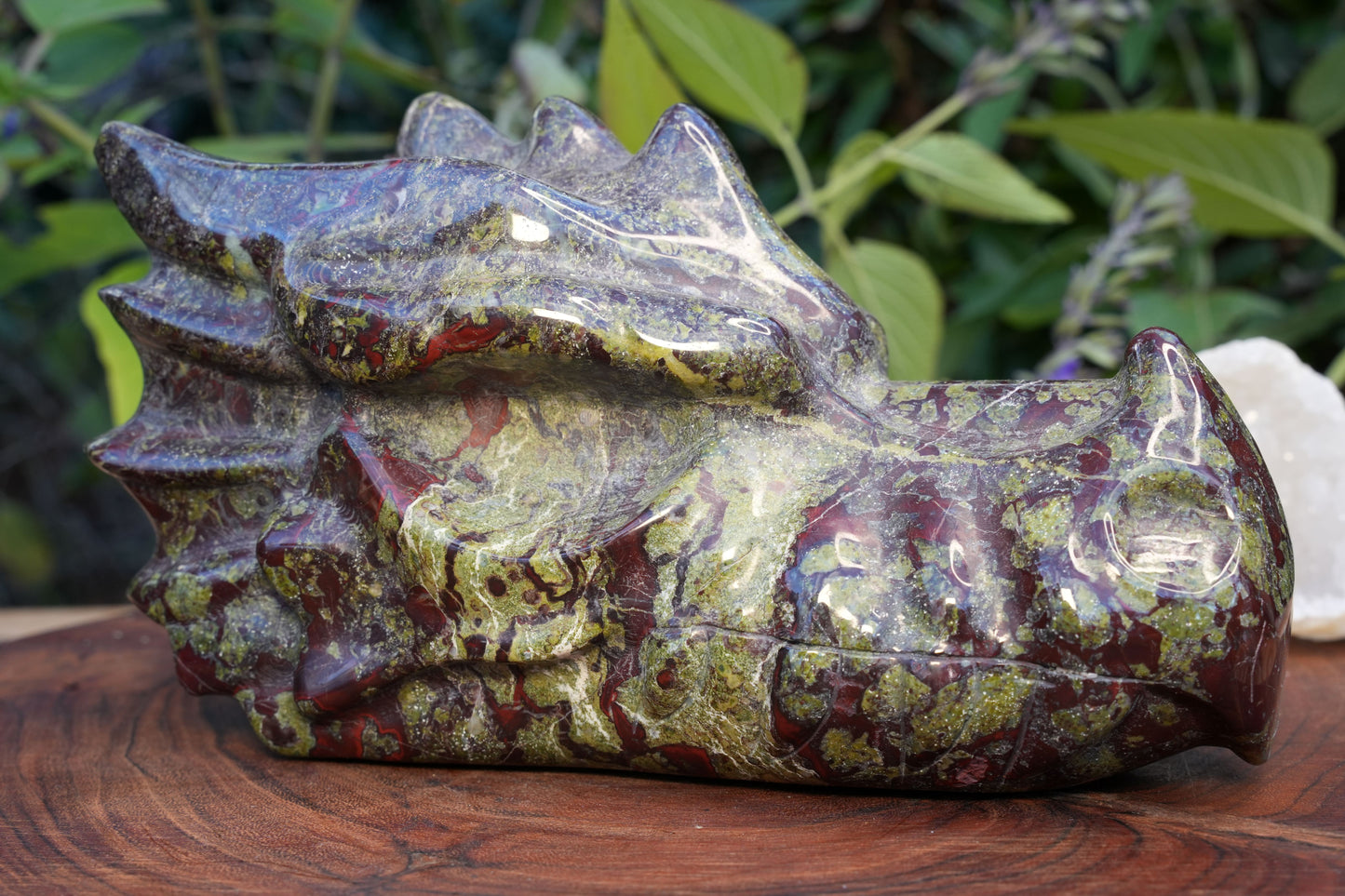 Dragons Blood Jasper Dragon Head | Reiki Infused
