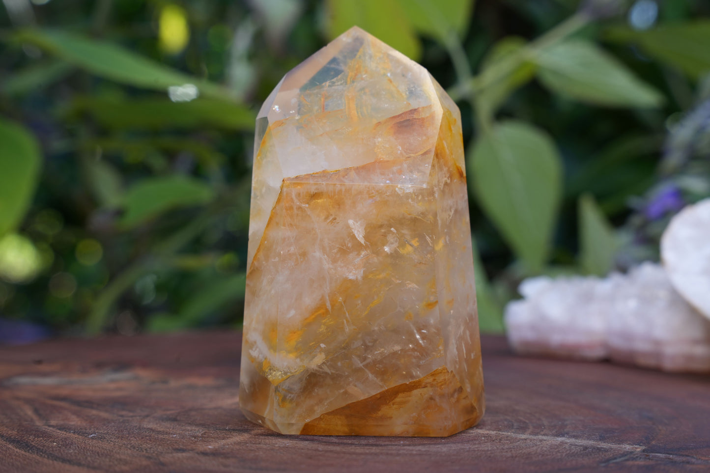 High Grade Golden Healer Points | Reiki Infused