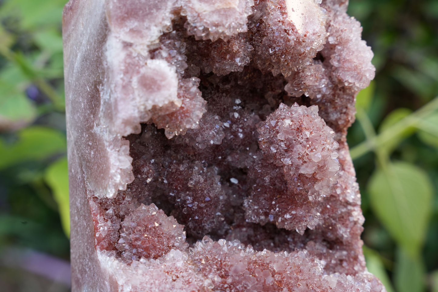 AAA Large Grade Druzy Pink Amethyst Tower | Reiki Infused