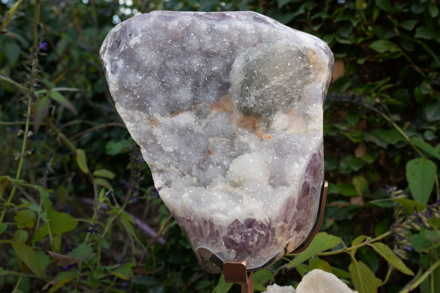 Giant Druzy Amethyst Agate Freeform on Rose Gold Stand | Reiki Infused