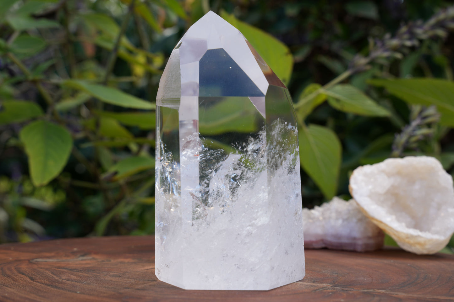 AA+ Grade Star Seed Lemurian Towers | Reiki Infused