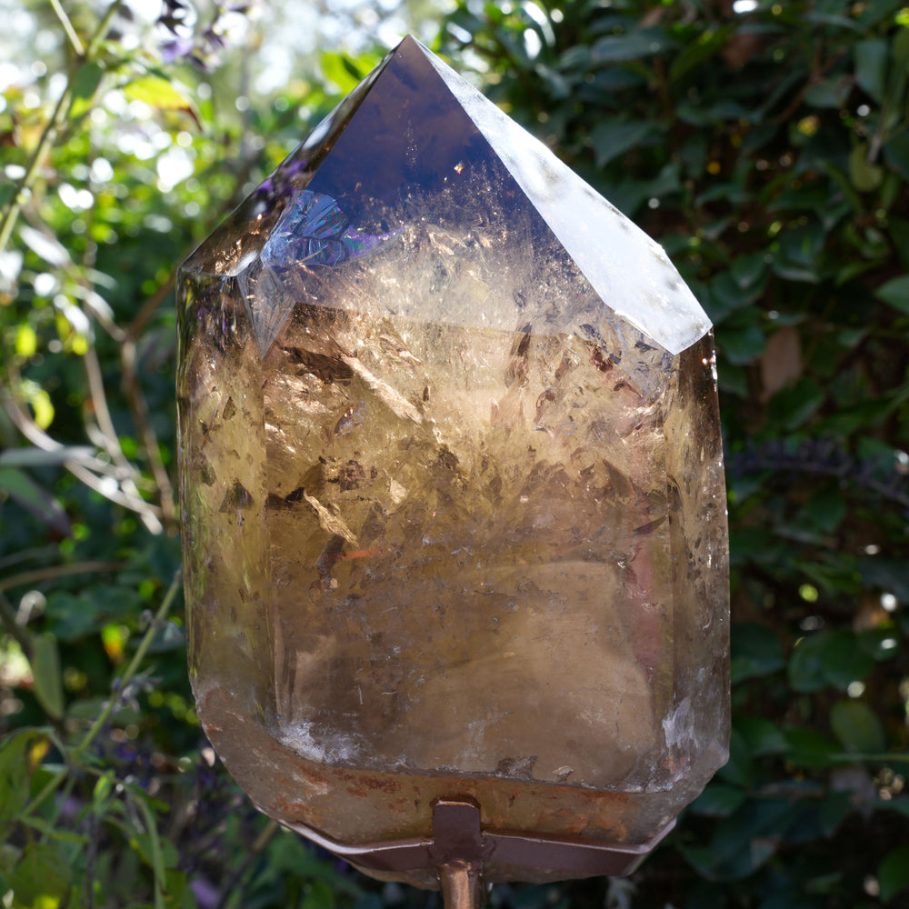 
                  
                    Giant Smoky Natural Citrine Generator | On Rose Gold Stand | Reiki Infused
                  
                