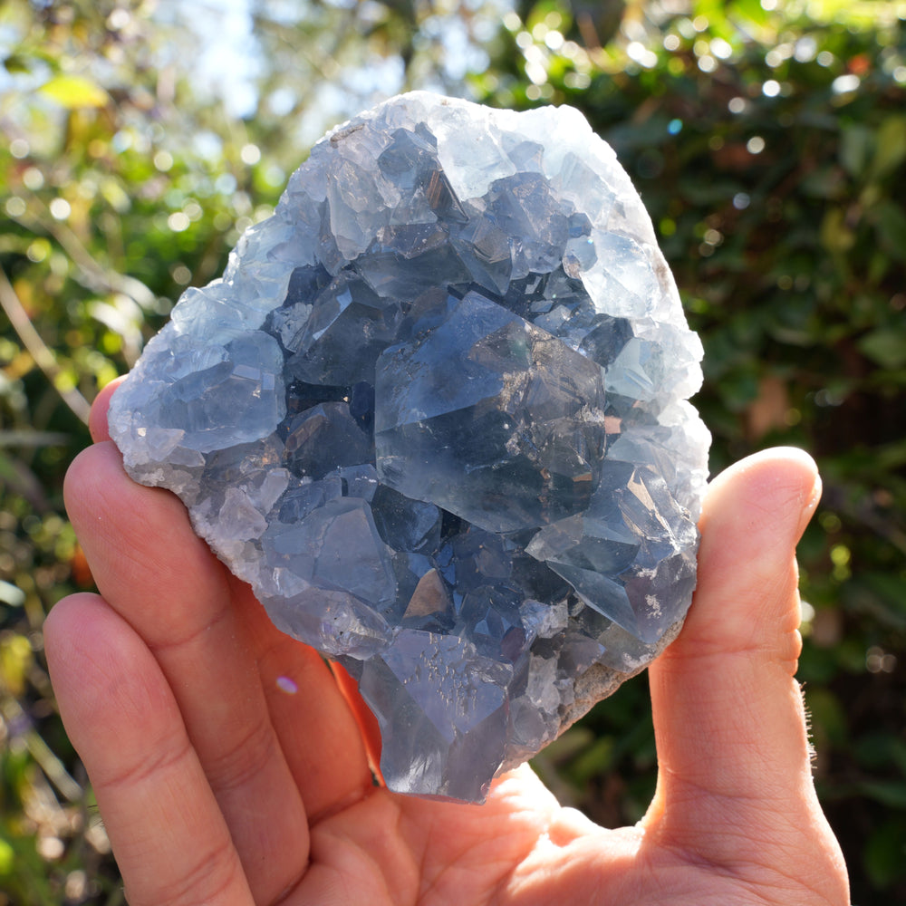 
                  
                    High Quality Celestite Clusters | Reiki Infused
                  
                
