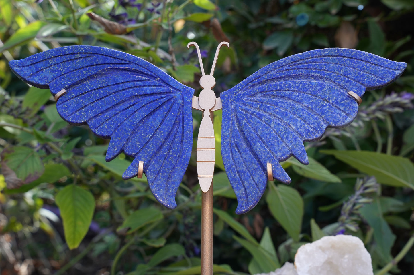 Lapis Lazuli Butterfly on Stand | High Grade|  Reiki Infused