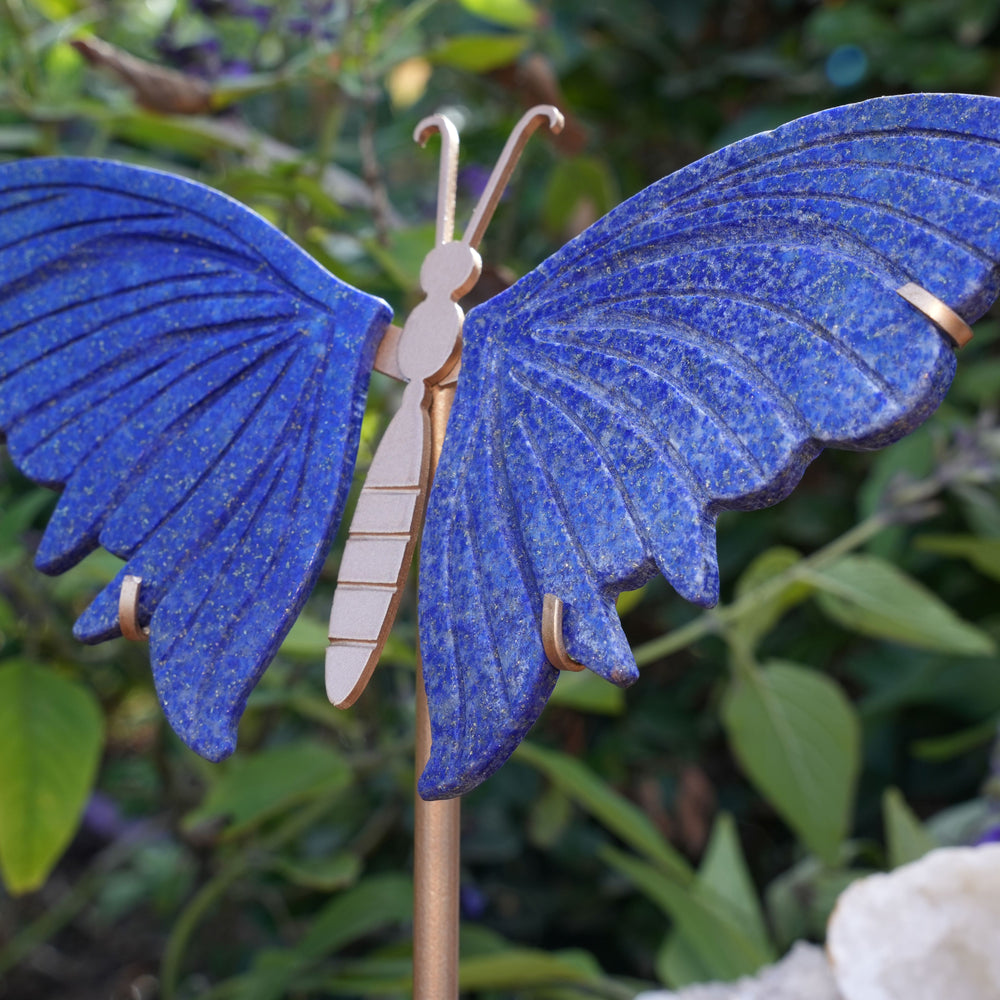 
                  
                    Lapis Lazuli Butterfly on Stand | High Grade|  Reiki Infused
                  
                