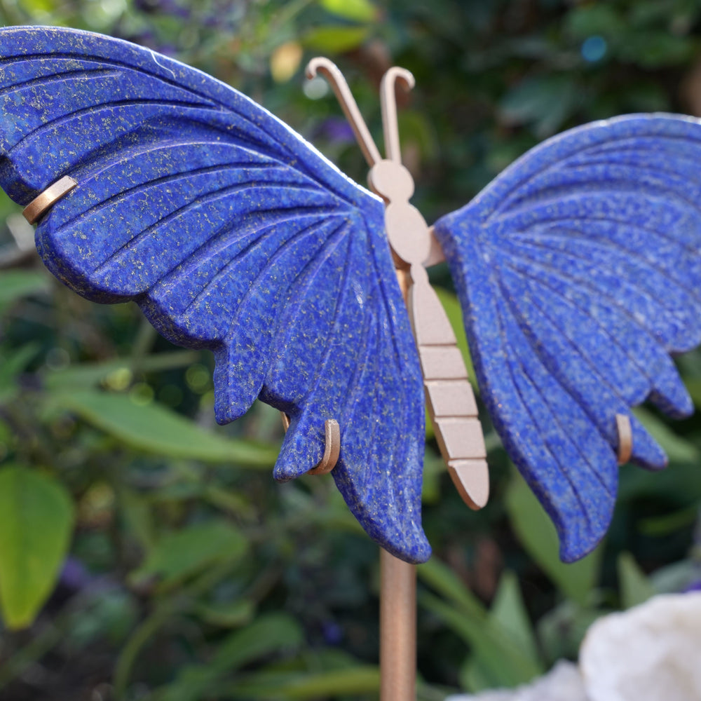 
                  
                    Lapis Lazuli Butterfly on Stand | High Grade|  Reiki Infused
                  
                